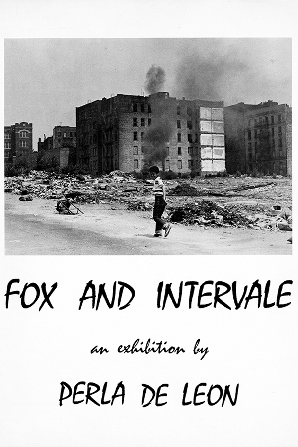 Fox and Intervale poster image